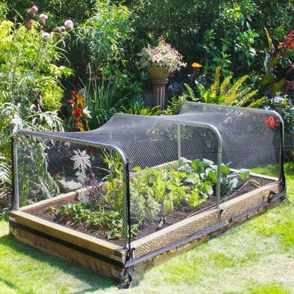 Tela Anti Pássaros para Plantas