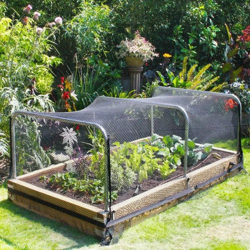Tela Anti Pássaros para Plantas
