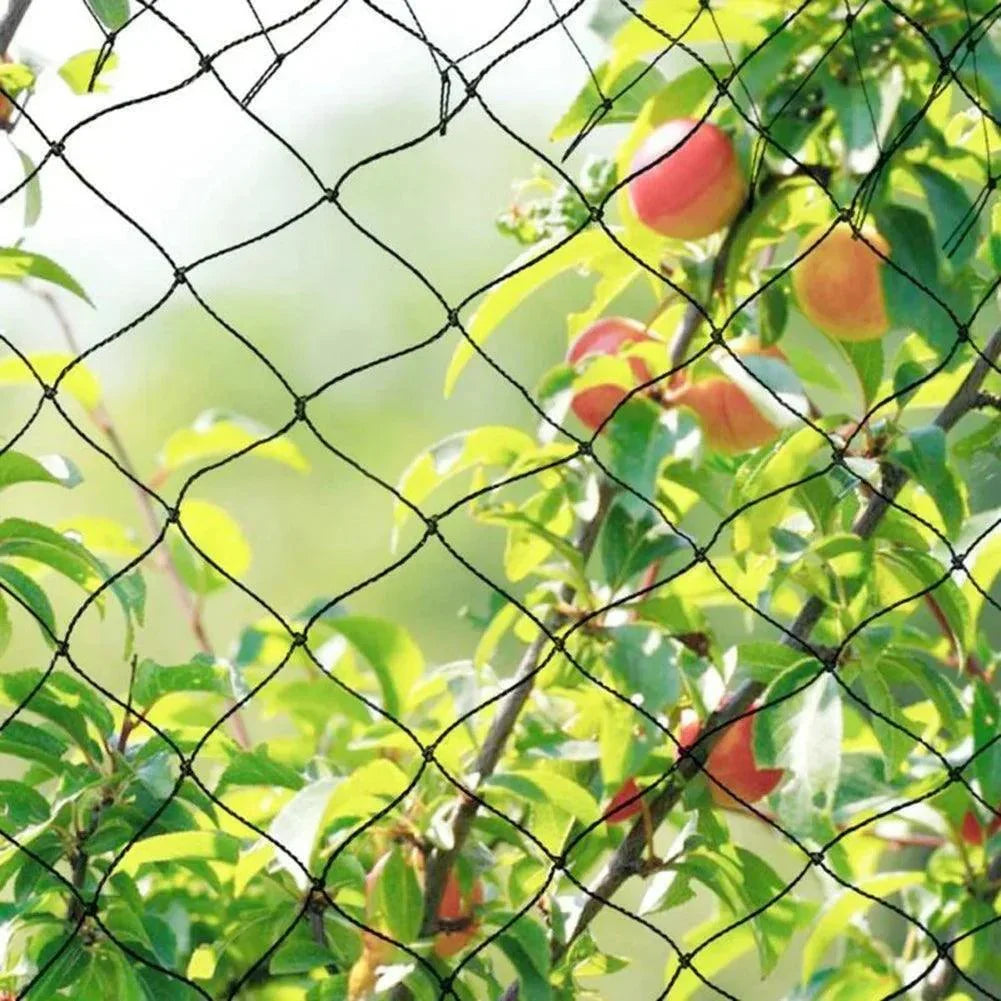 Tela Anti Pássaros para Plantas